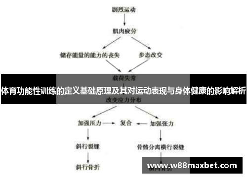 体育功能性训练的定义基础原理及其对运动表现与身体健康的影响解析